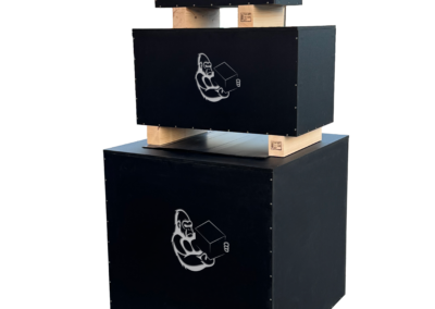 monkey-packaging holzkiste Sonderanfertigung 3er